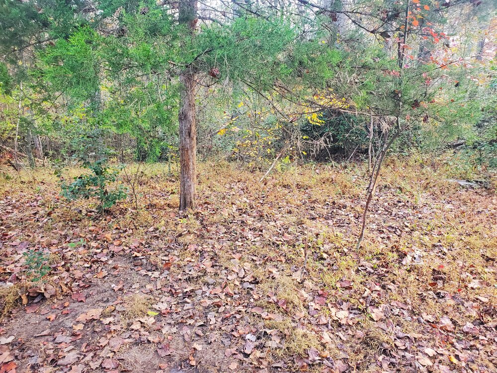 NC4X4 Hunting and Fishing Page 88 NC4x4