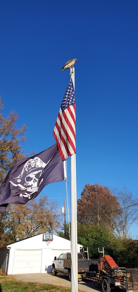 20241207_152152 (1).jpg