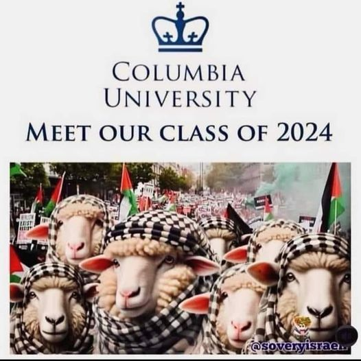 20244.png