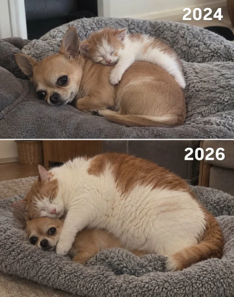 2026.png