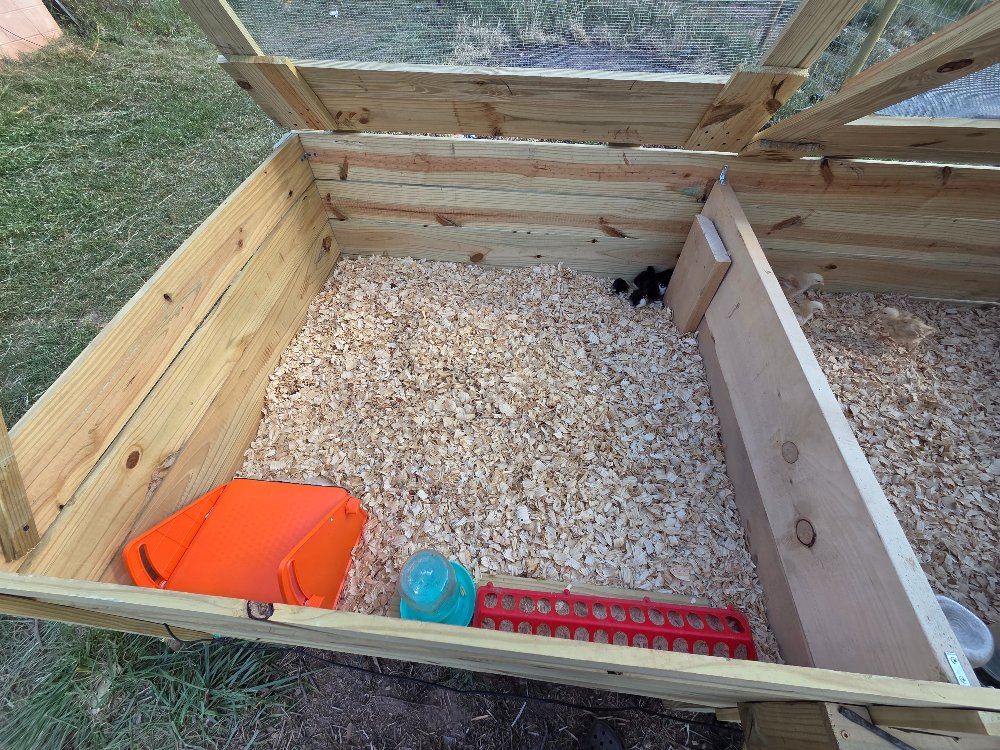 20260517_172951.jpg