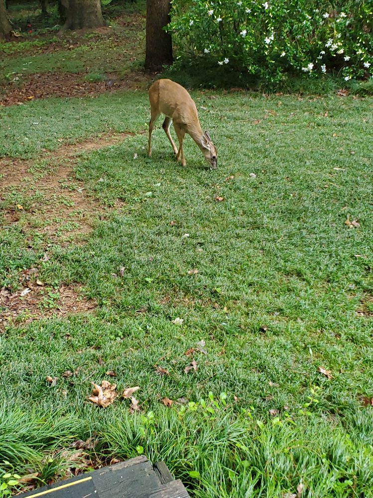 20260525_173624.jpg