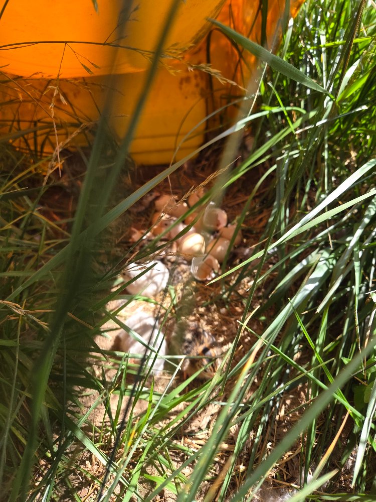 20260529_161200.jpg