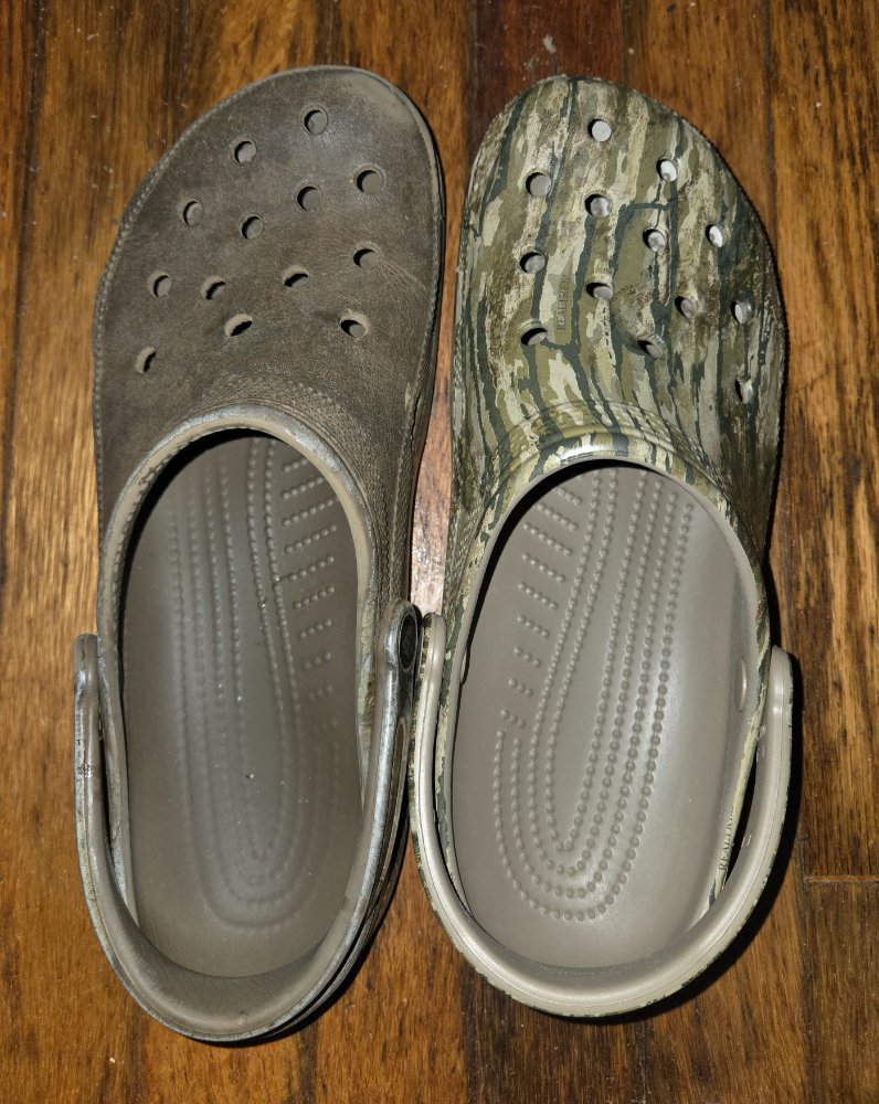 20260726_154254.jpg