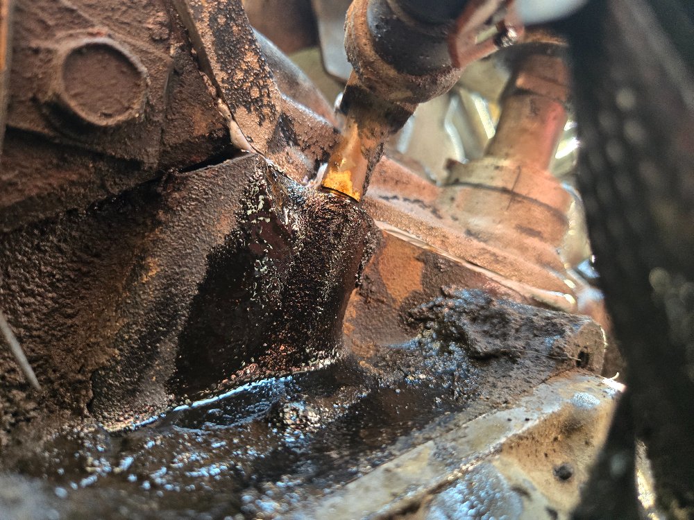 20260729_160546.jpg