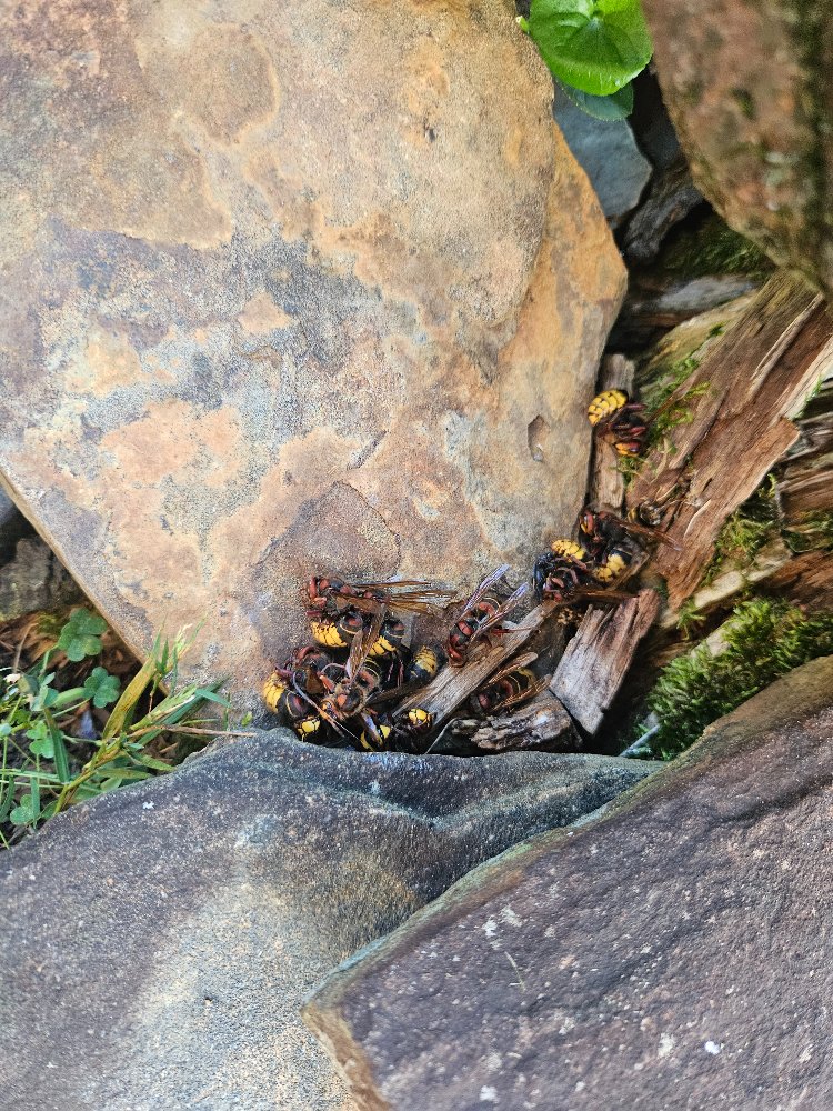 20260906_075449.jpg