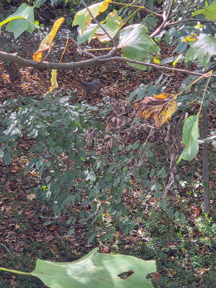 20261008_154638.jpg