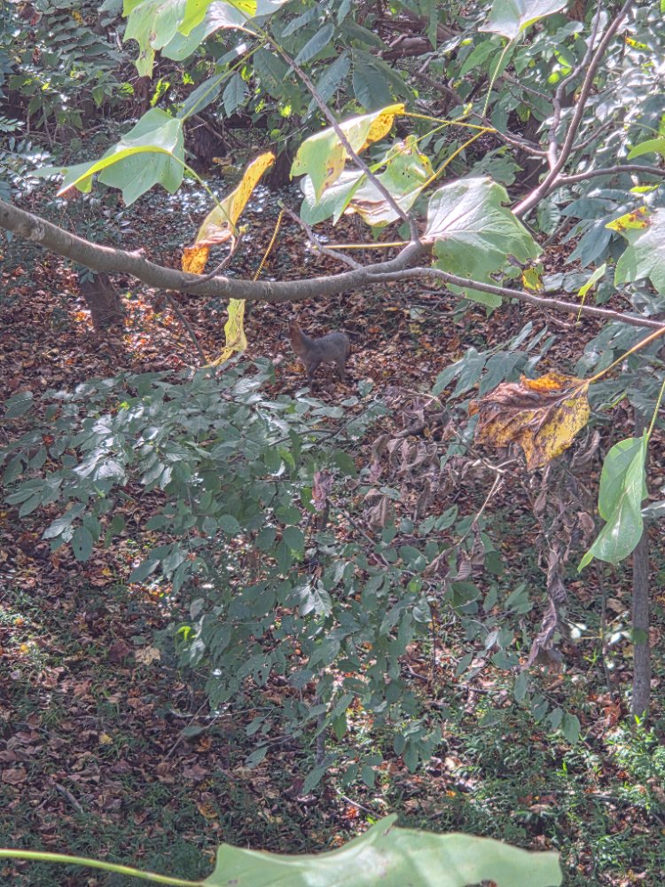 20261008_154647.jpg