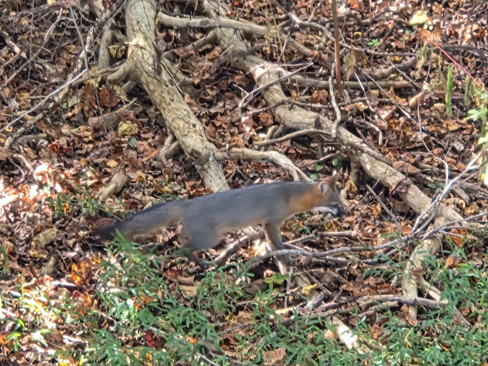 20261008_154949.jpg