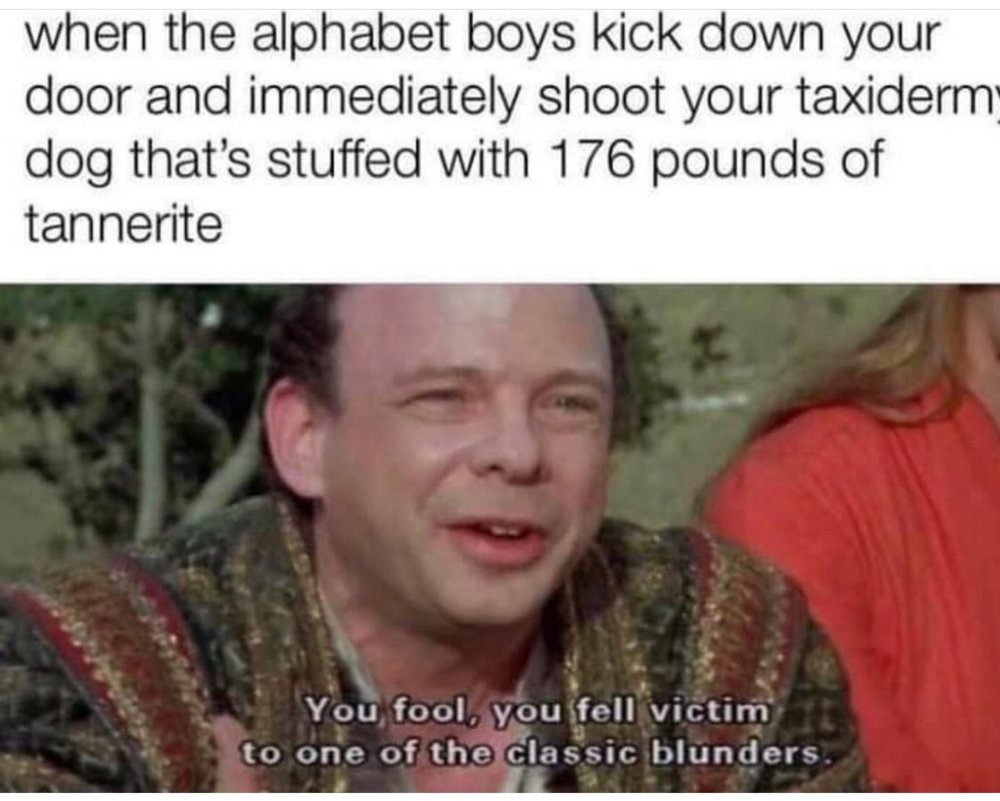 2492.jpeg