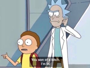 300px-You_Son_of_a_Bitch,_I’m_In_(Morty).jpg