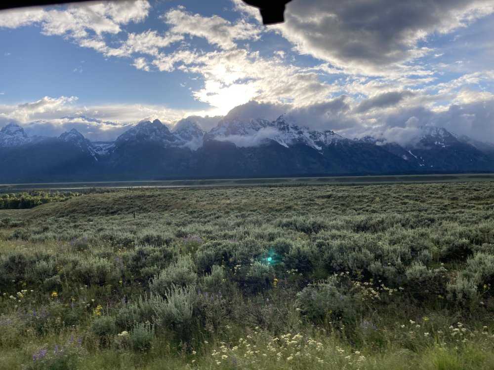 3644C049-2120-4348-9B5F-5913F221BA10.jpeg