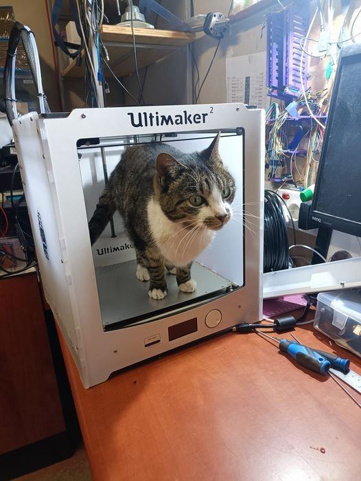 3dcatprint.jpg