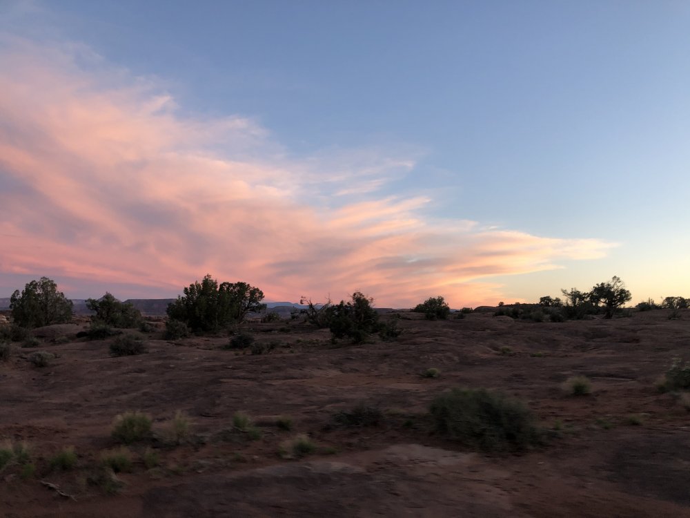 3E64636C-1E73-461F-92FD-6E1C540C5F1F.jpeg