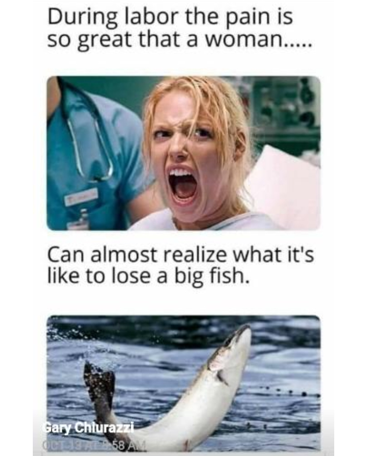 40039728-4E48-4DC2-A45C-BE84E7F1E397.jpeg