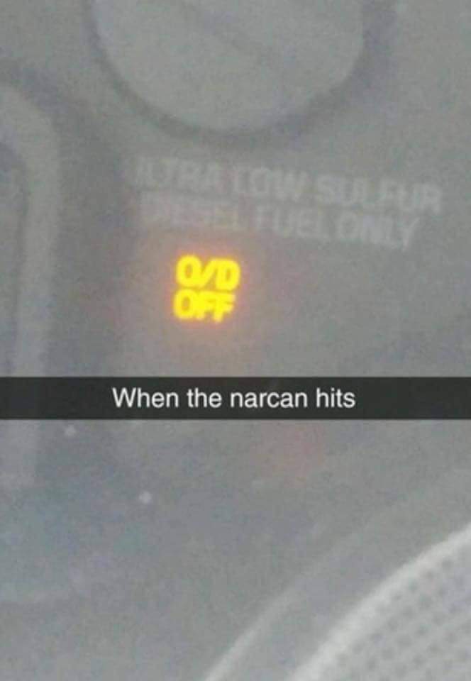 41880551_2144379682467257_5978167517628071936_n.jpg