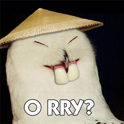 46.jpg