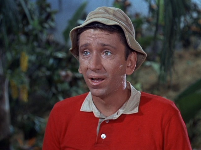 4812601-gilligan-s-island-gilligans-island-19988011-640-480.jpg