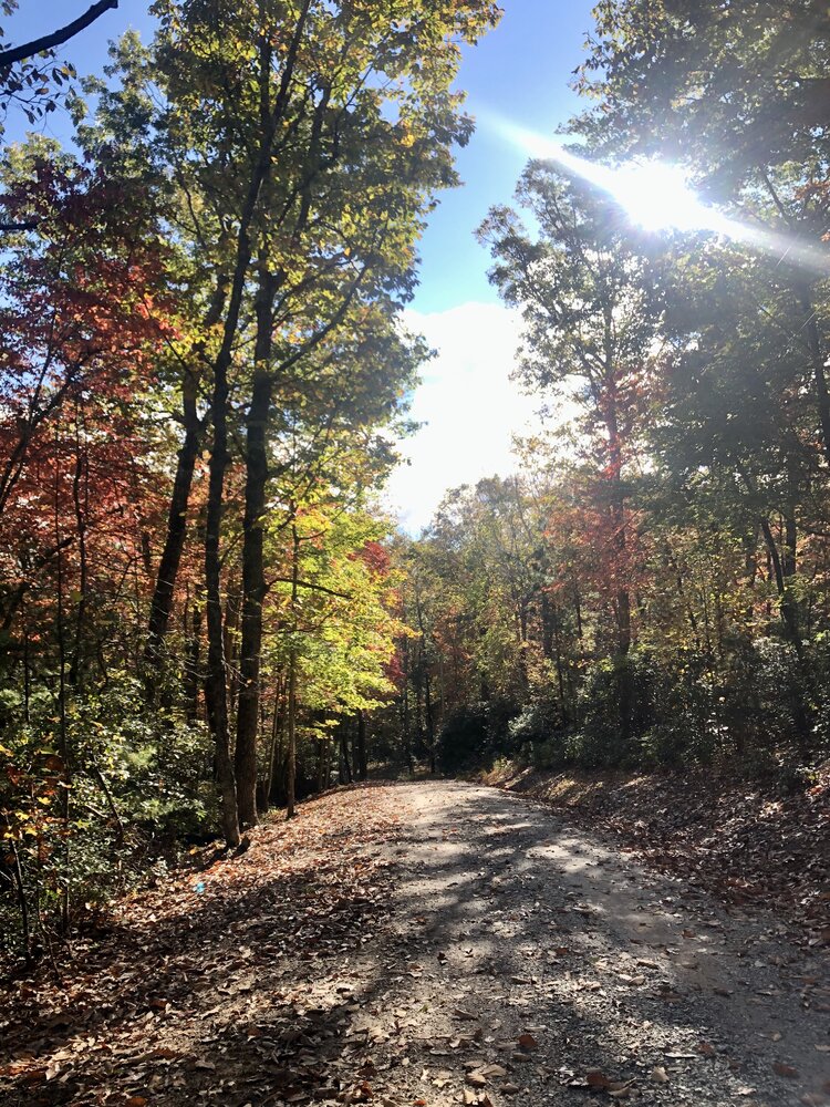 4B2D69B9-179B-4B08-BB94-74E123D94425.jpeg