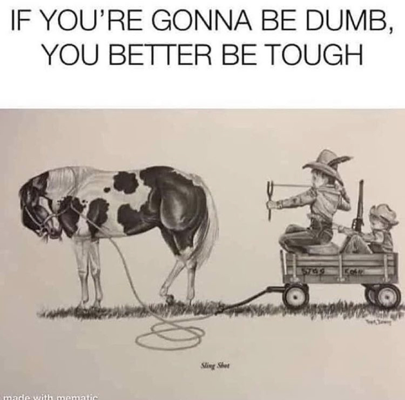 4F384D97-62A4-4126-A13C-D202E443BBA7.jpeg
