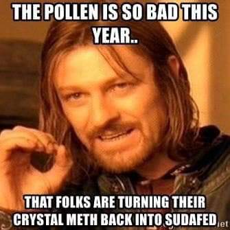 57486570_1005892876282810_9049861993820848128_n.jpg