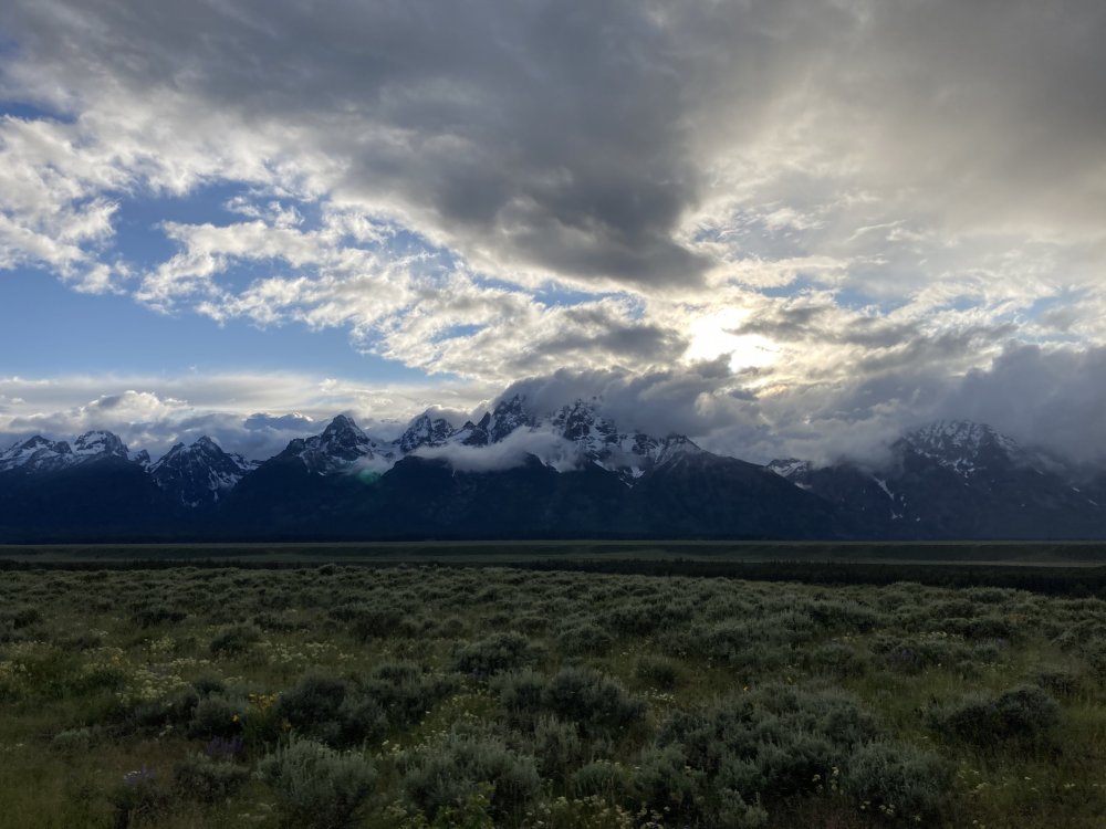 5C551C48-0995-4A3C-8F23-061B8774EE49.jpeg
