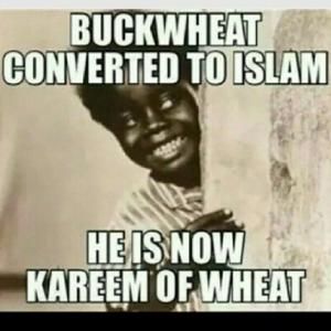 5fc79bbf86faafe5725e49b3ff314b35--crazy-meme-buckwheat.jpg