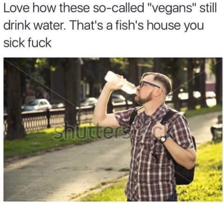 5Zlb7B0.jpg