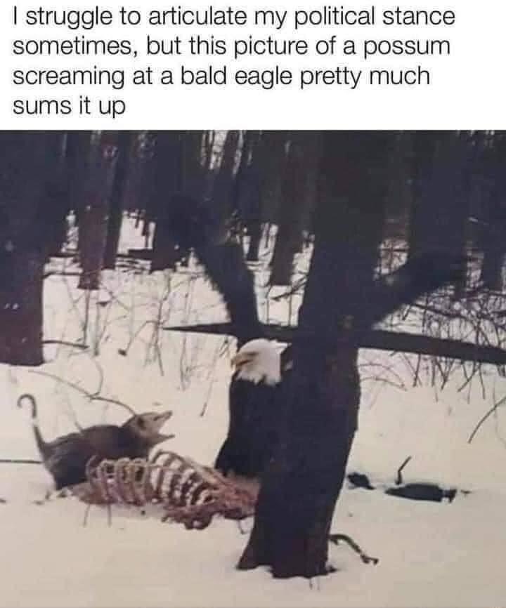 6261F1D9-0929-4451-9EEC-BE6BE32693E5.jpeg