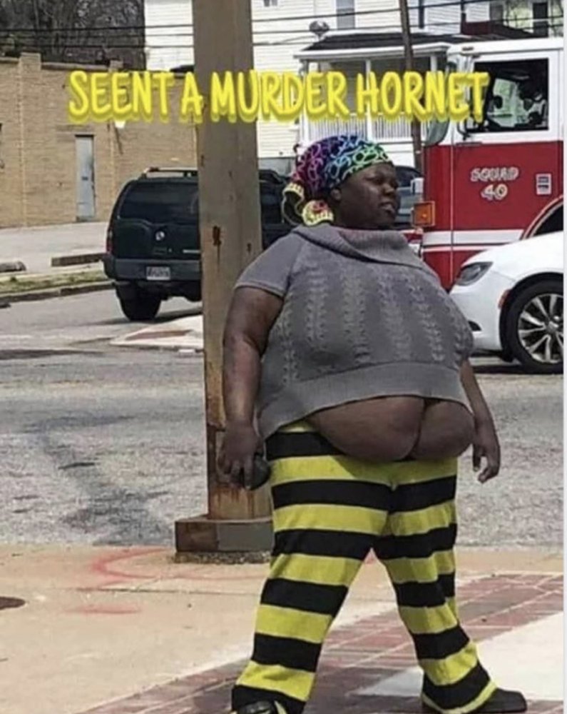 6280B4C2-5EA6-49AD-BEDD-D9738E3DD25C.jpeg