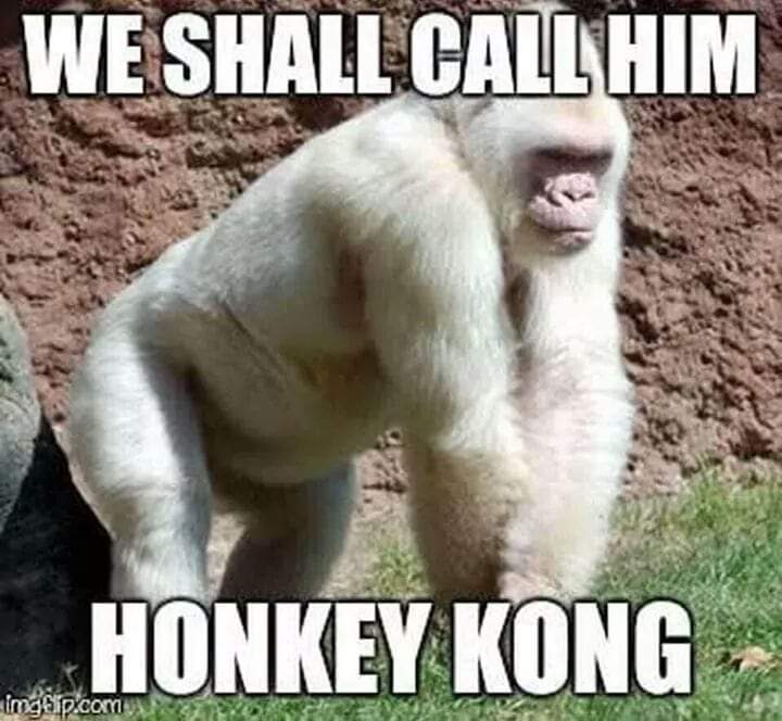 64571137_10156597015978721_5325942021804785664_n.jpg