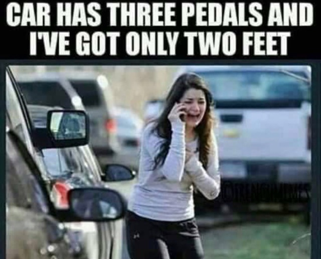 64868.jpeg