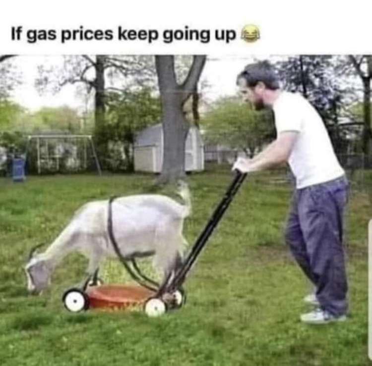 650C16D4-7D84-4477-B683-958EB3031DCA.jpeg