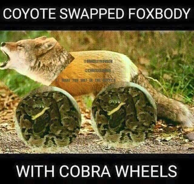 65259861-E0C1-4371-9598-C3DC3D98E8AB.jpeg