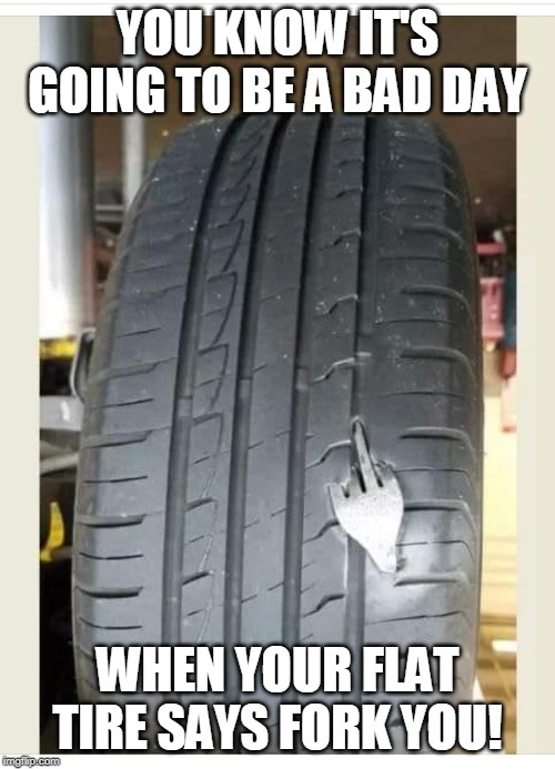 69DCCE0E-E4F1-4A6F-BA8D-288C22CB93D4.png