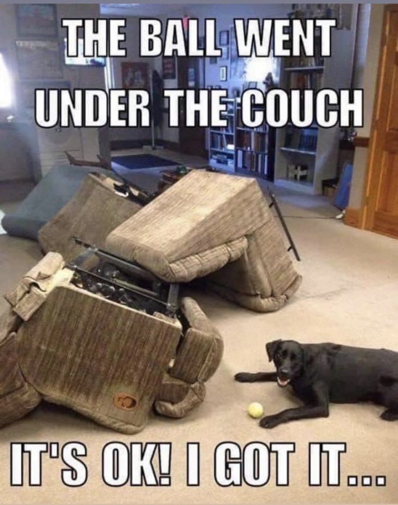 6AEC709D-9F93-48F1-A4FE-D6A844296D5E.jpeg