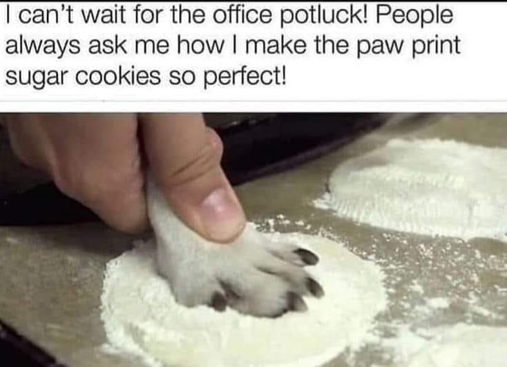6FD91282-0731-407C-9807-CB84D77D07DB.jpeg
