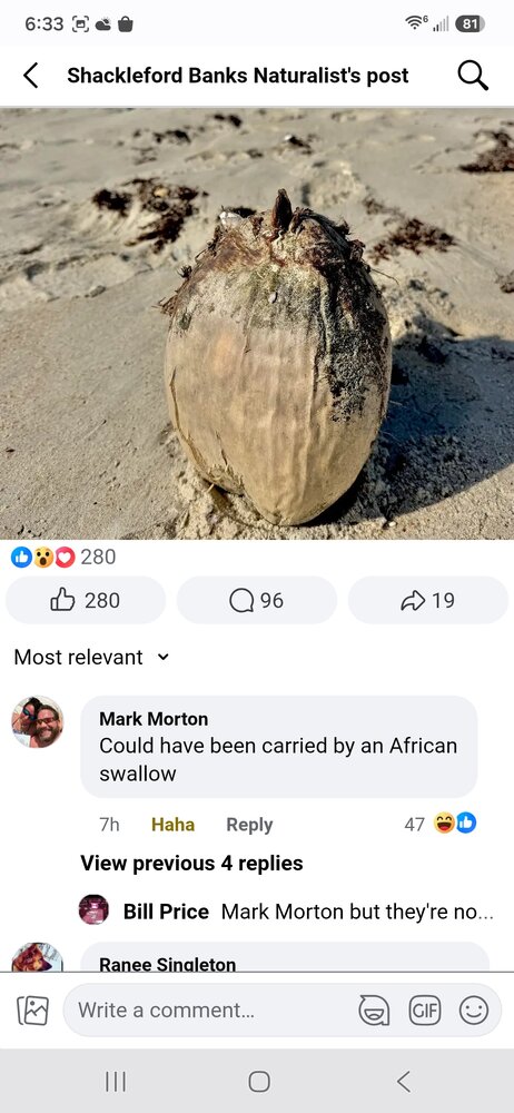 7094.jpg