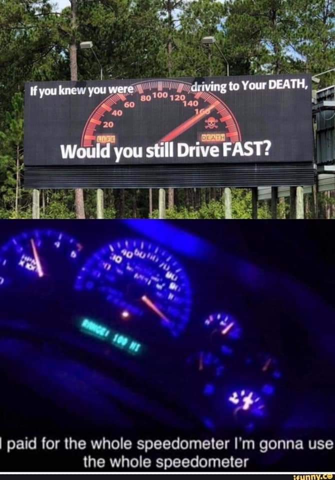 73227669_2463162693939955_2635820849734615040_n.jpg
