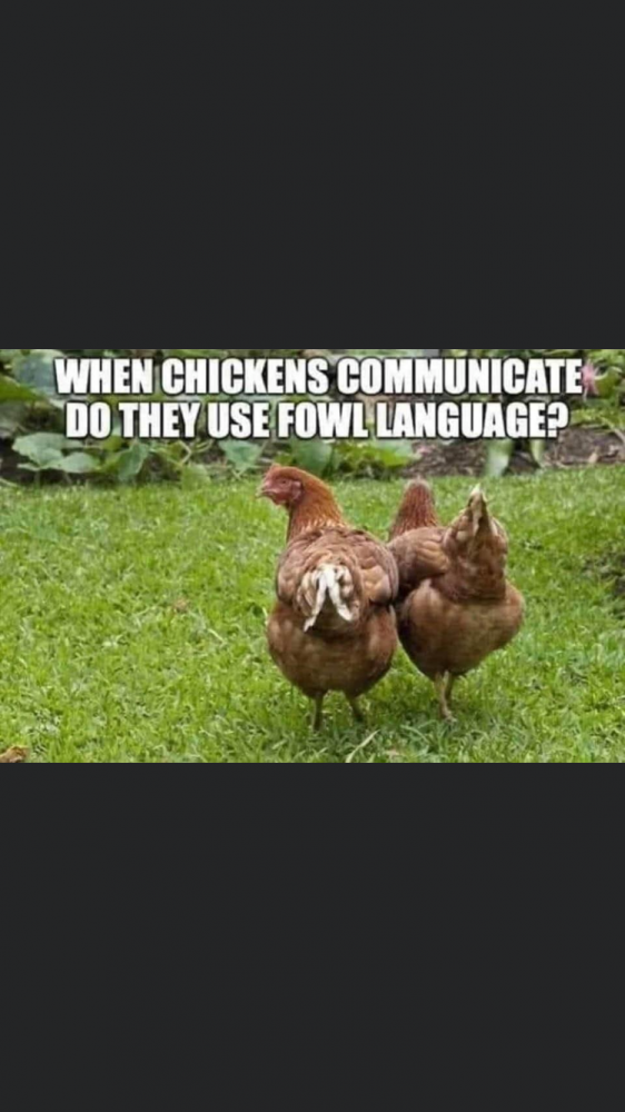 7B73B437-F4BC-45F1-B4E4-421C20A2B513.png