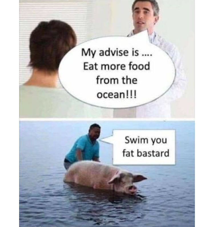 81FCECDF-4DF8-4DFA-B6A0-B28B6570D6F1.jpeg