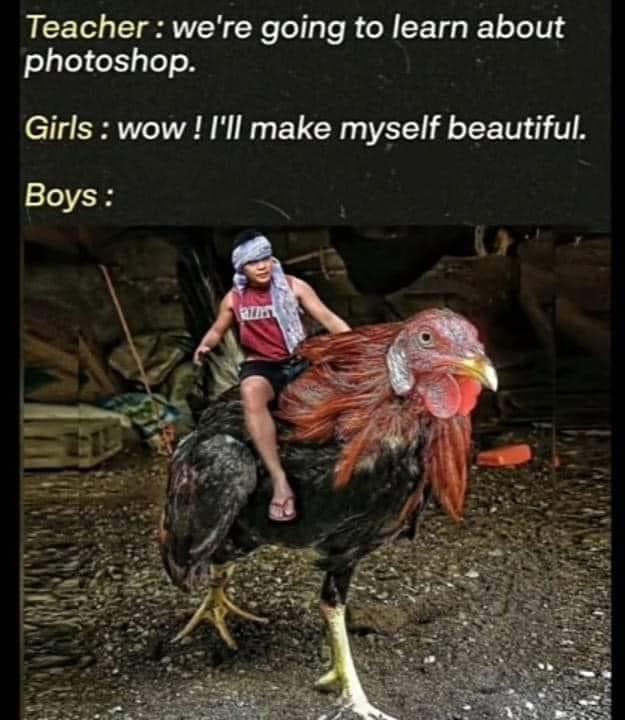 901588DC-4127-43AC-96E5-DF08C67228DD.jpeg