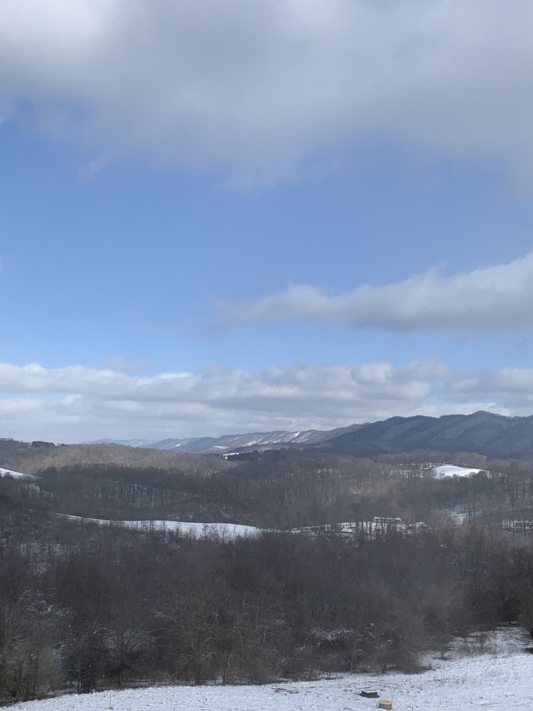 943183D2-35D3-4D0D-9C85-B079861041DD.jpeg
