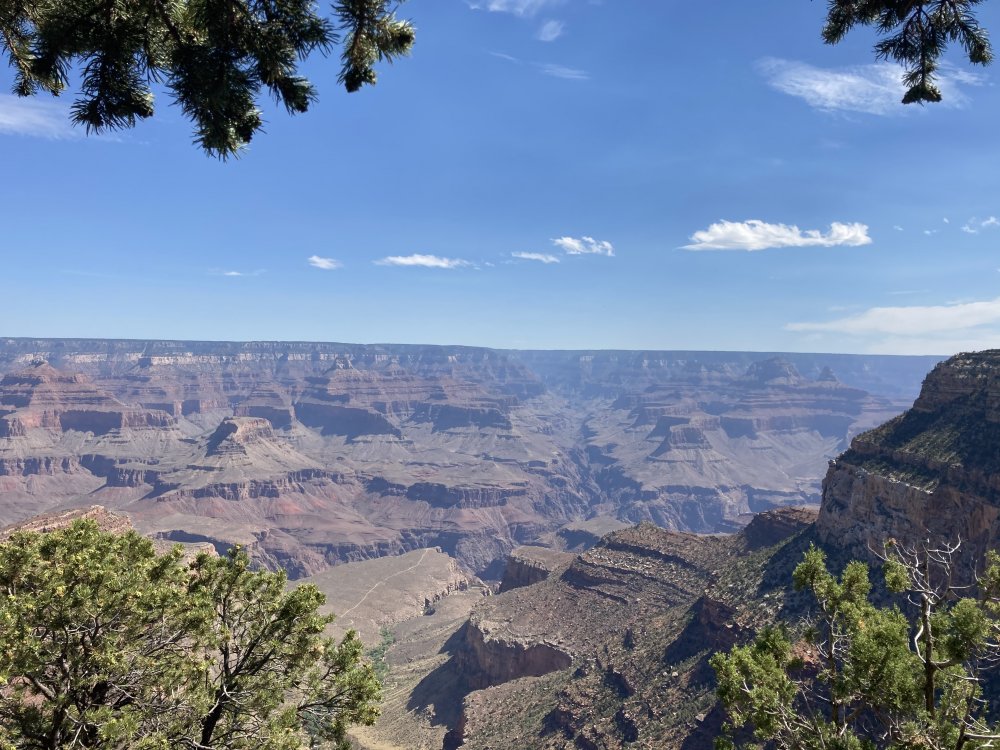 9699E374-6E7B-44E3-B8B5-FBB897D40D6B.jpeg