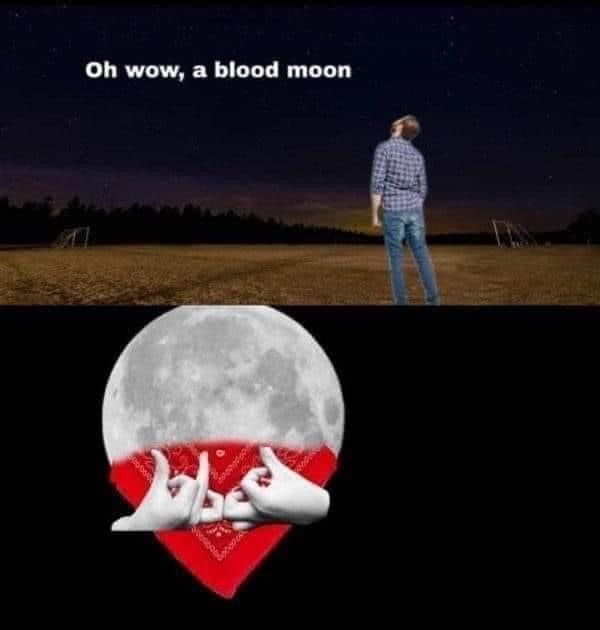 9F48B6B5-6C30-4A9D-AE1D-61AA318B65BB.jpeg