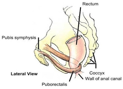 a2.bp.blogspot.com__NFKcecyLdV4_UhaR9qYOmPI_AAAAAAAAB2c_Iel4O066640367b3aa55b8830f1554cef55d39.jpg