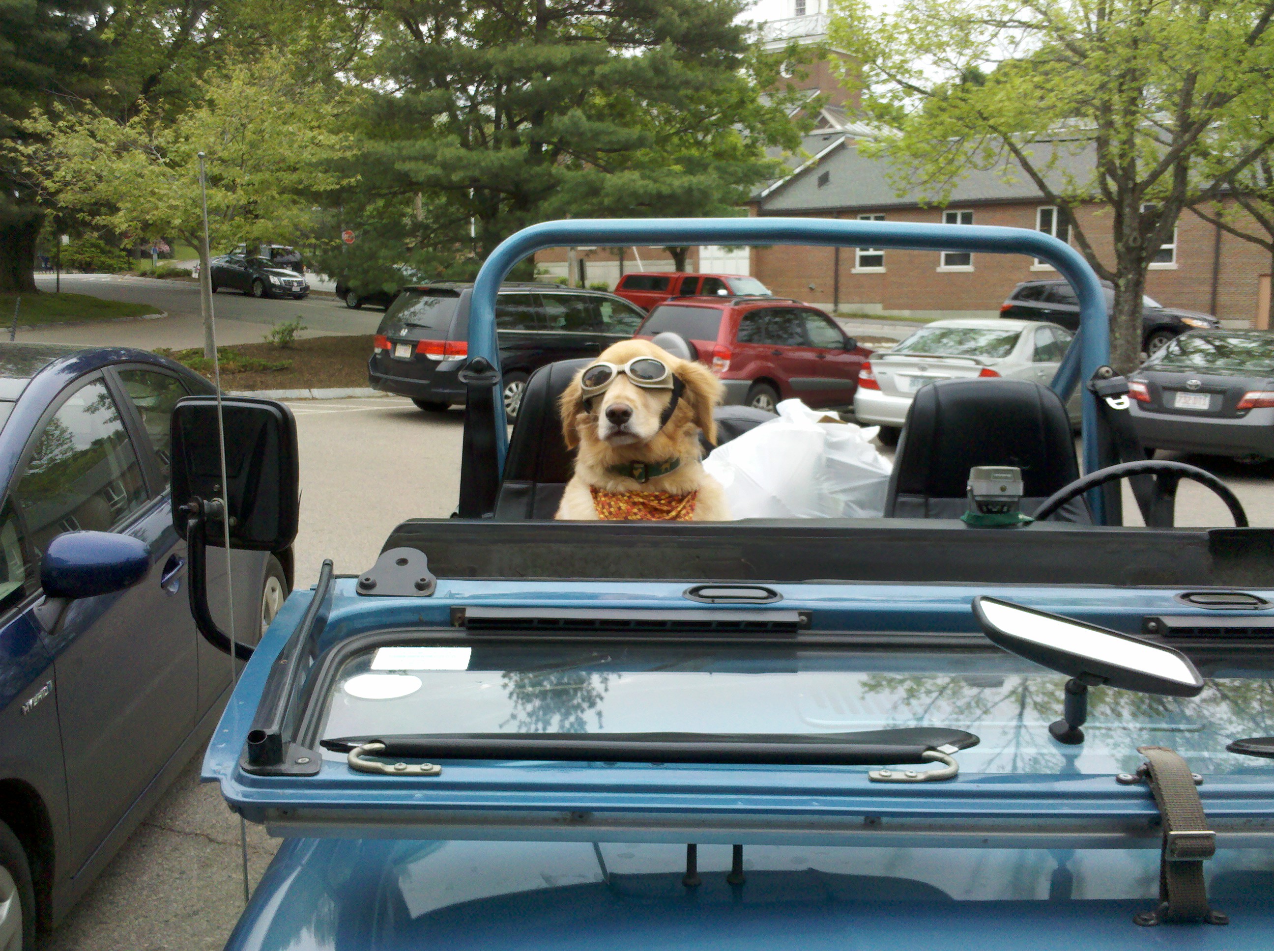 a2in10.files.wordpress.com_2011_05_dog_in_jeep_with_windshield_down_05111.jpg