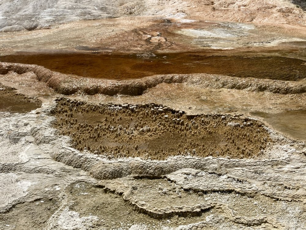 AA0D6337-22CA-4577-B61B-6DEB789DCD1A.jpeg
