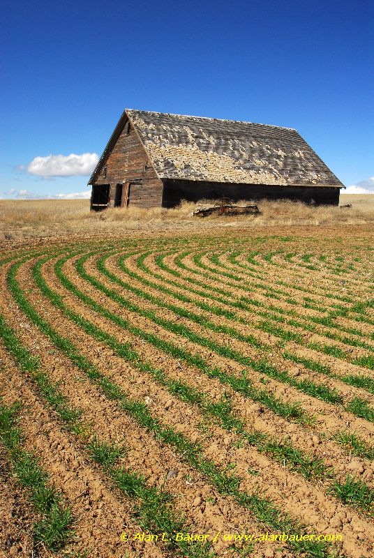 aalanbauer.com_images_Non_Snoq_20Rural_WatervillePlateau_OldBarn_wagon_fields_vert.jpg