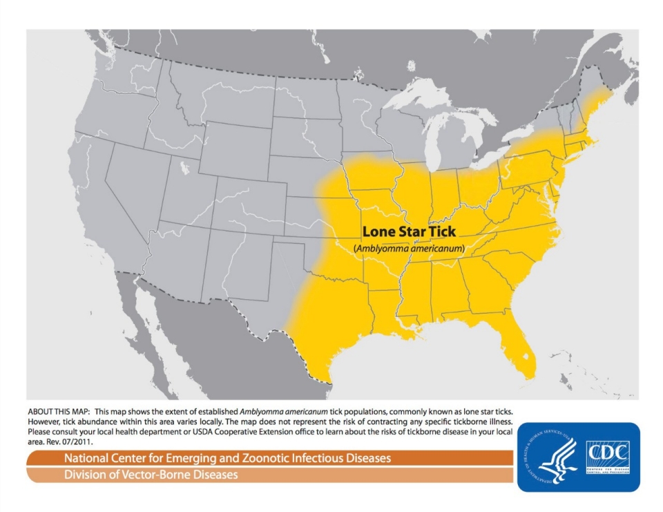 aamerica.aljazeera.com_content_ajam_articles_2013_10_3_the_tice597d210ce8c4185a91d550a59d44b5e.jpg